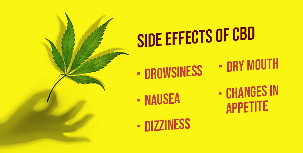 The Ultimate Guide To CBD Vs THC - Side Effects, Benefits And Uses